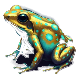 Sapo Dourado