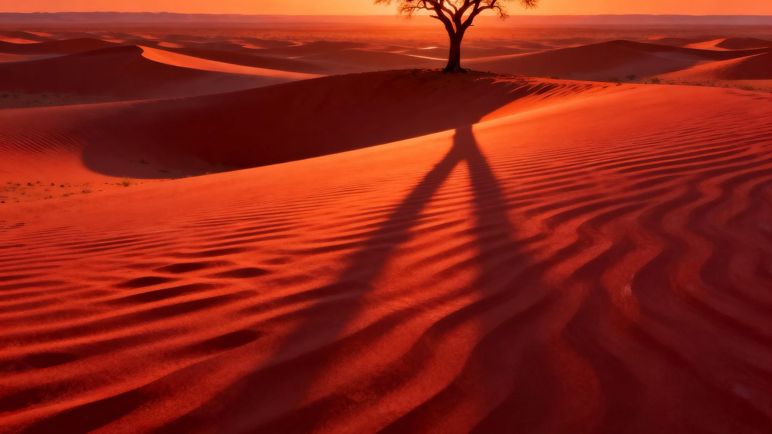 Kalahari Sunset background art