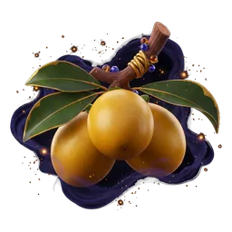 Marula Fruit