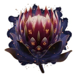 Protea Flower
