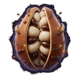 Baobab Seed