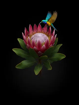 Protea Gold slot poster