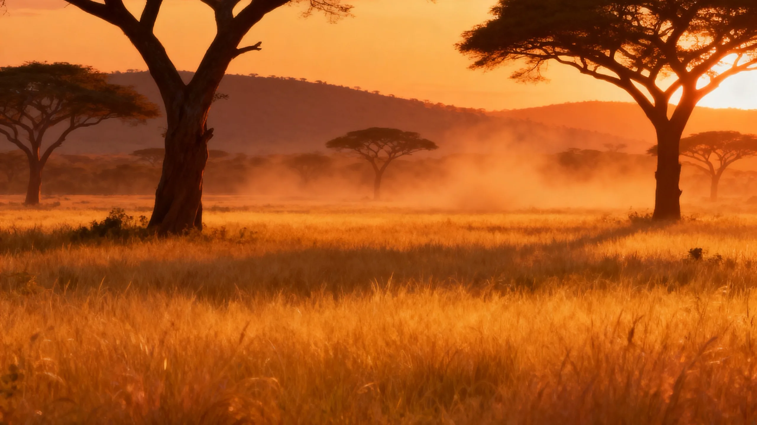 Safari Sevens background art