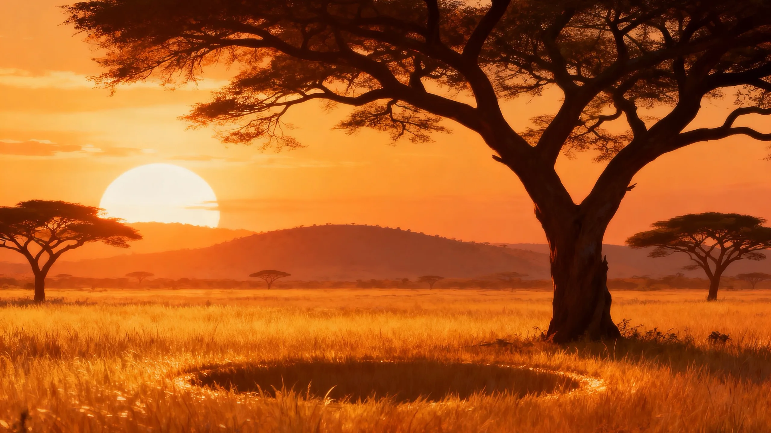 Safari Sevens background art