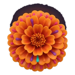Marigold