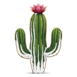 Desert Cactus