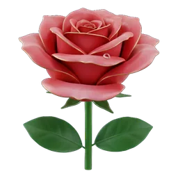 Red Rose